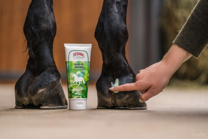 ZEDAN Fessel-Fit maucare 200 ml